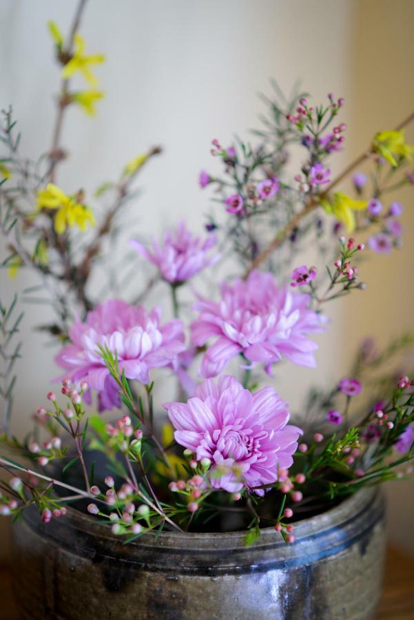 Briar Rose Bed & Breakfast Boulder Eksteriør bilde